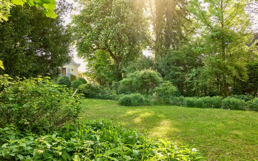 Jardin lumineux de la maison de maître à Besançon à vendre - Arrière-Cour, agence immobilière spécialisée à Besançon