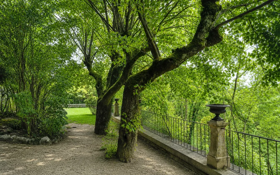 Jardin de la maison de maître à Chaumont à vendre - Arrière-Cour, agence immobilière spécialisée en Haute-Marne