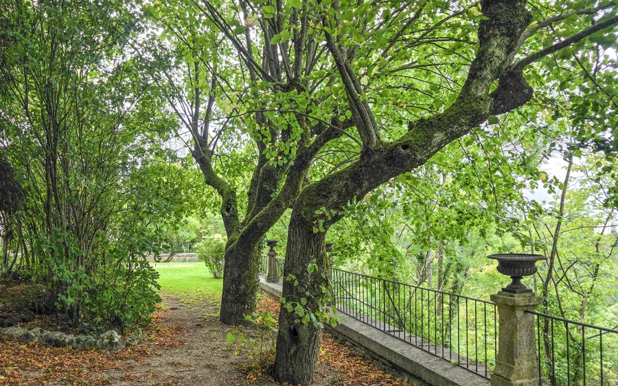 Jardin de la maison de maître à Chaumont à vendre - Arrière-Cour, agence immobilière spécialisée en Haute-Marne