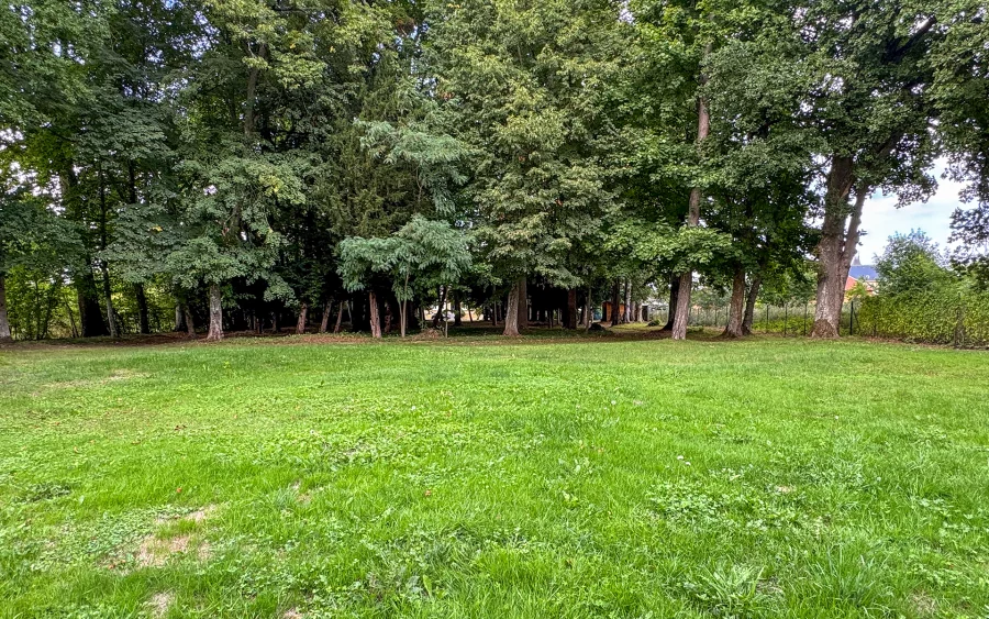 Jardin de la maison de maître rénovée près de Troyes à vendre - Arrière-Cour, agence immobilière spécialisée dans l'Aube
