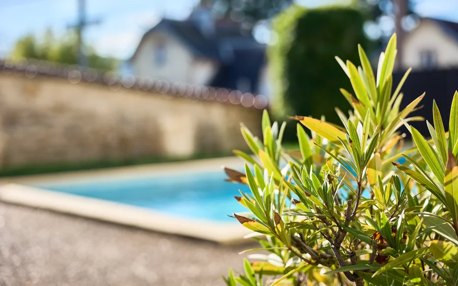 Piscine de la maison de caractère avec piscine à Vesoul à vendre - Arrière-Cour, agence immobilière spécialisée en Haute-Saône