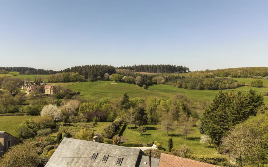 Vue de la maison de campagne à Saint-Martin-du-Puy à vendre - Arrière-Cour, agence immobilière spécialisée dans la Nièvre