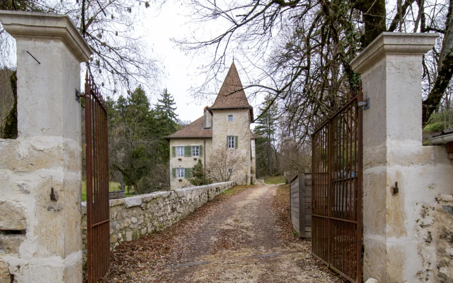 Château Millénaire aux portes de Genève et du Pays de Gex à vendre - Arrière-Cour, agence immobilière spécialisée dans le Pays de Gex