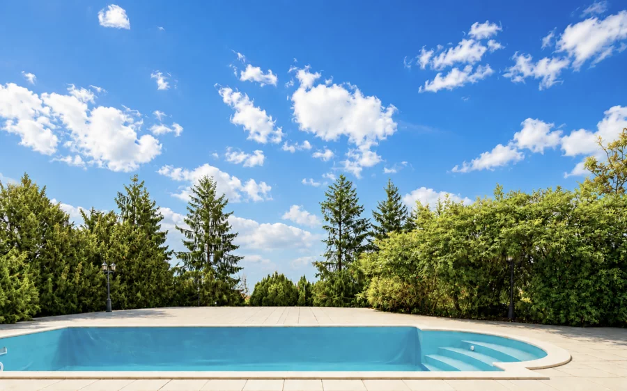 Piscine de la villa de caractère avec parc paysager à Gex à vendre - Arrière-Cour, agence immobilière spécialisée dans le Pays de Gex