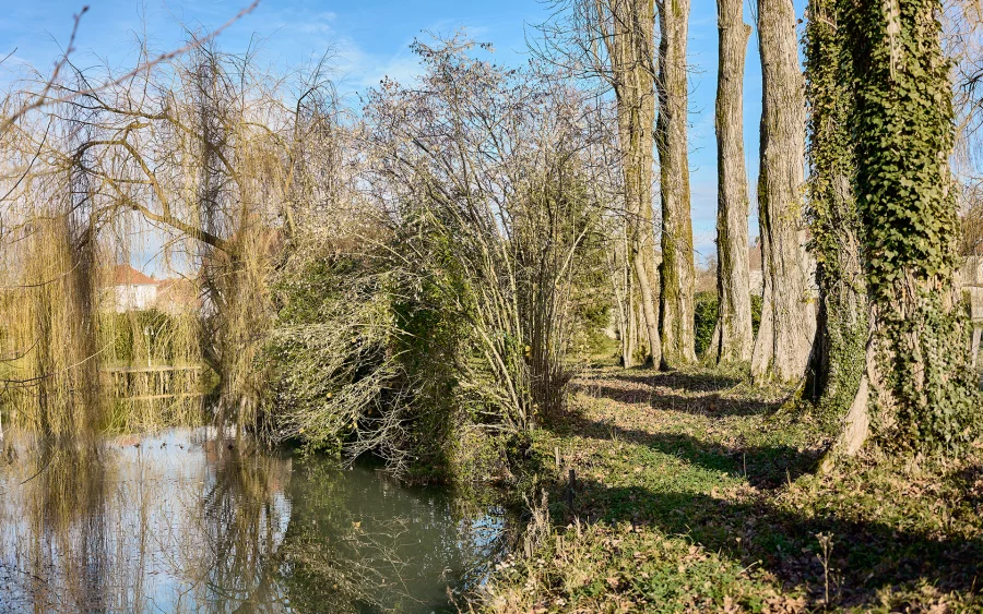 Point d'eau de la propriété moderne et parc paysager près de Vesoul à vendre - Arrière-Cour, agence immobilière spécialisée en Haute-Saône
