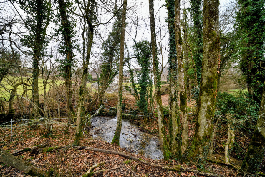 Rivière de l'ancienne ferme rénovée à Divonne-les-Bains dans le Pays de Gex à vendre - Arrière-Cour, agence immobilière spécialisée dans le Pays de Gex