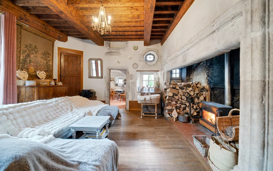 Salon du château Millénaire aux portes de Genève et du Pays de Gex à vendre - Arrière-Cour, agence immobilière spécialisée dans le Pays de Gex