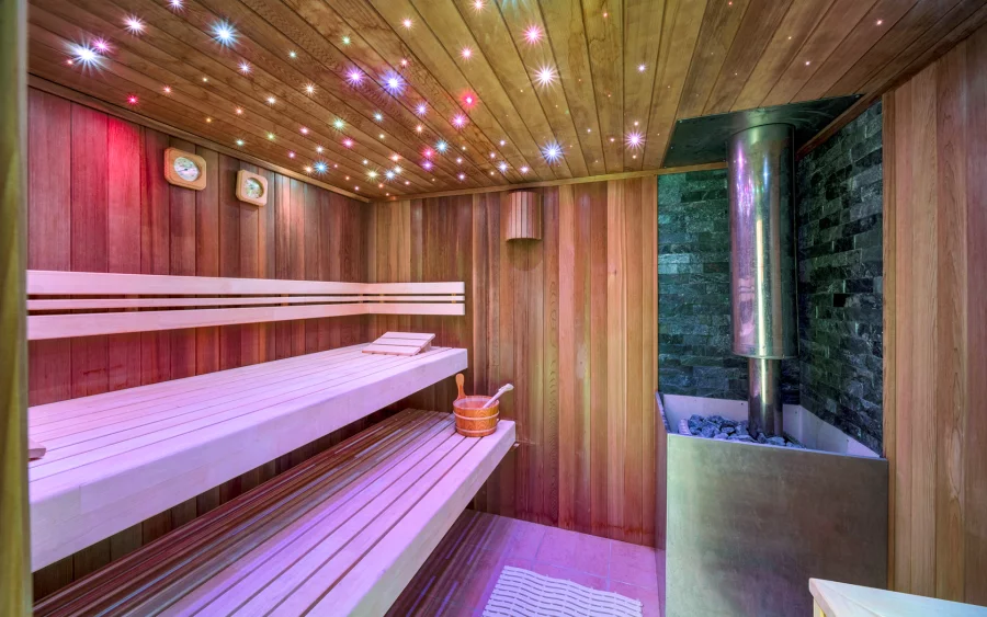 Sauna de la villa de caractère avec parc paysager à Gex à vendre - Arrière-Cour, agence immobilière spécialisée dans le Pays de Gex