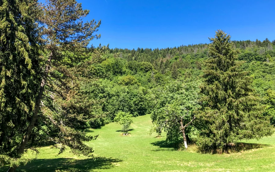 Terrain du château Millénaire aux portes de Genève et du Pays de Gex à vendre - Arrière-Cour, agence immobilière spécialisée dans le Pays de Gex
