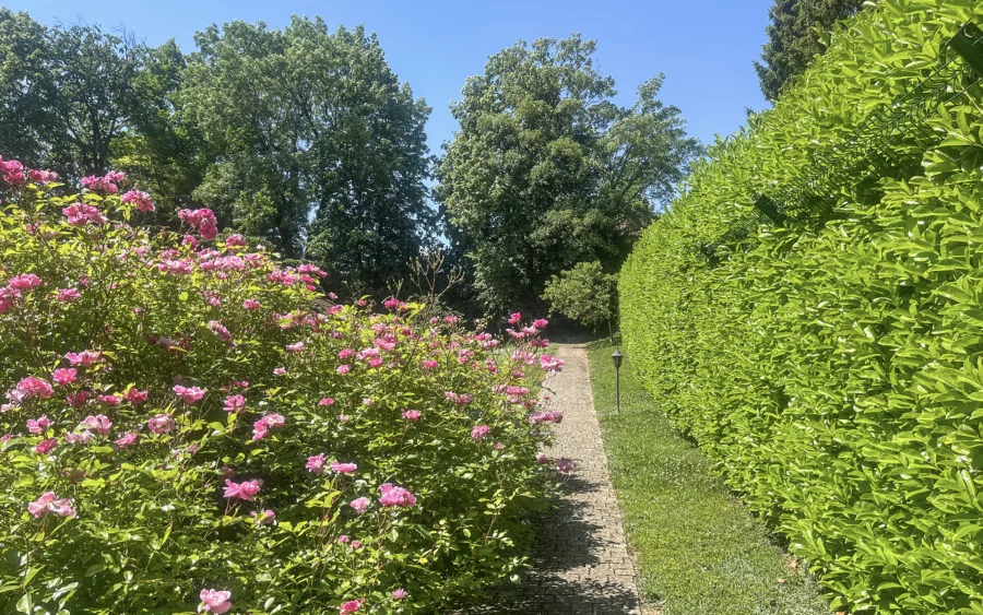 Végétation de la villa de caractère avec parc paysager à Gex à vendre - Arrière-Cour, agence immobilière spécialisée dans le Pays de Gex
