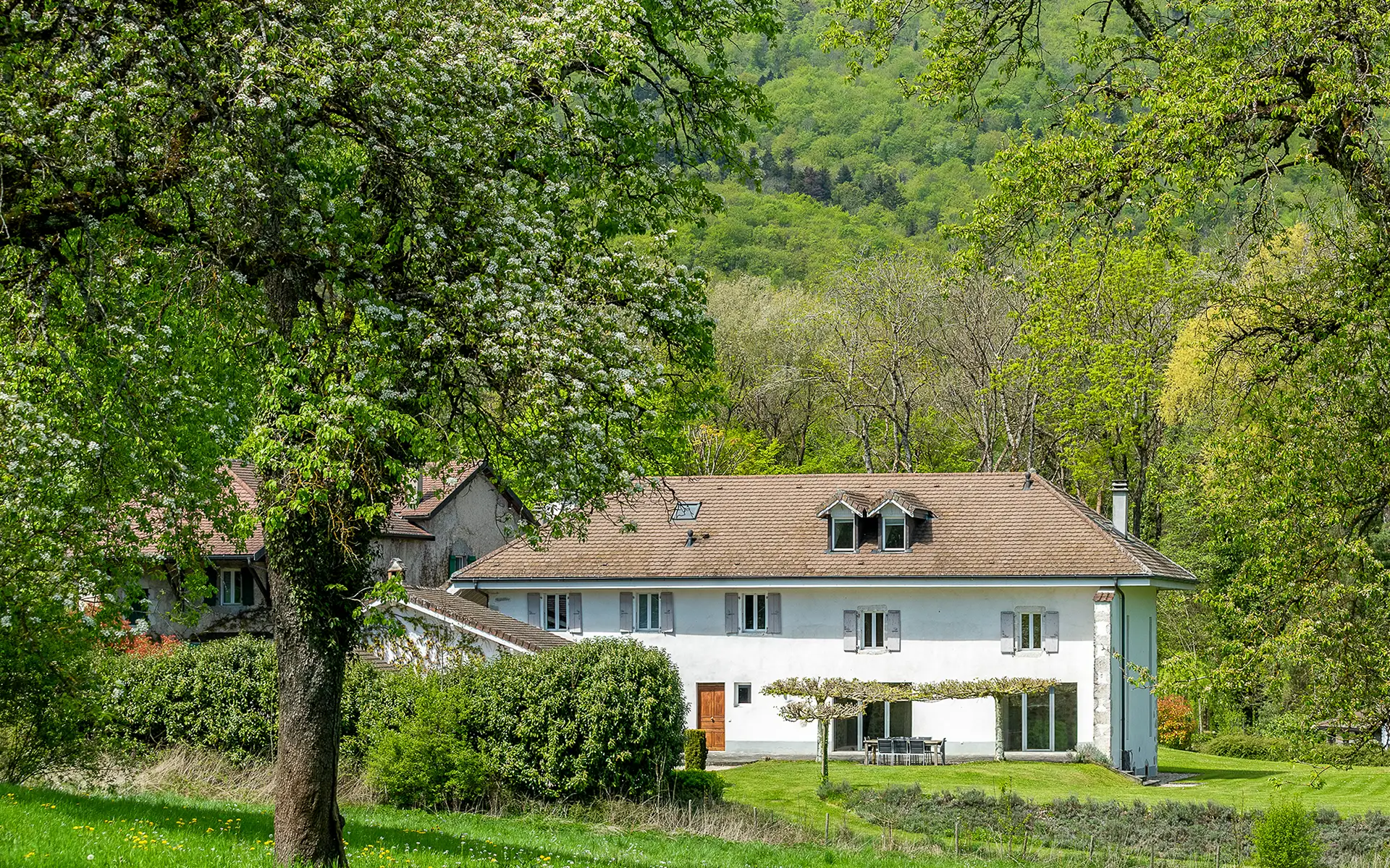 Verdure de l'ancienne ferme rénovée à Divonne-les-Bains dans le Pays de Gex à vendre - Arrière-Cour, agence immobilière spécialisée dans le Pays de Gex