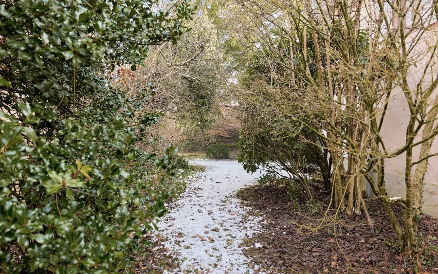 Nature de la maison de caractère à Bussurel, proche de Montbéliard à vendre - Arrière-Cour, agence immobilière spécialisée en Haute-Saône
