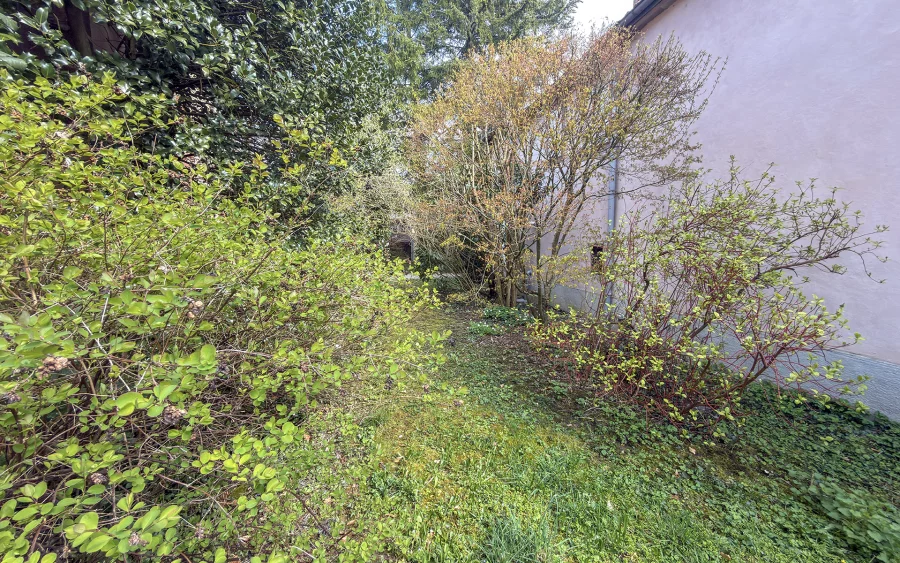 Verdure de la maison de caractère à Bussurel, proche de Montbéliard à vendre - Arrière-Cour, agence immobilière spécialisée en Haute-Saône