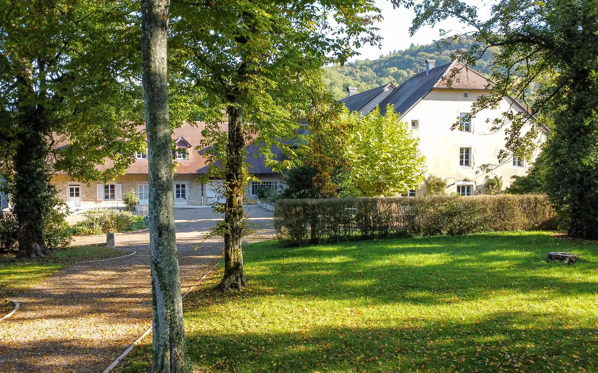 Verdure de la maison vigneronne avec parc clos proche de la Château-Chalon à vendre - Arrière-Cour, agence immobilière spécialisée dans le Jura