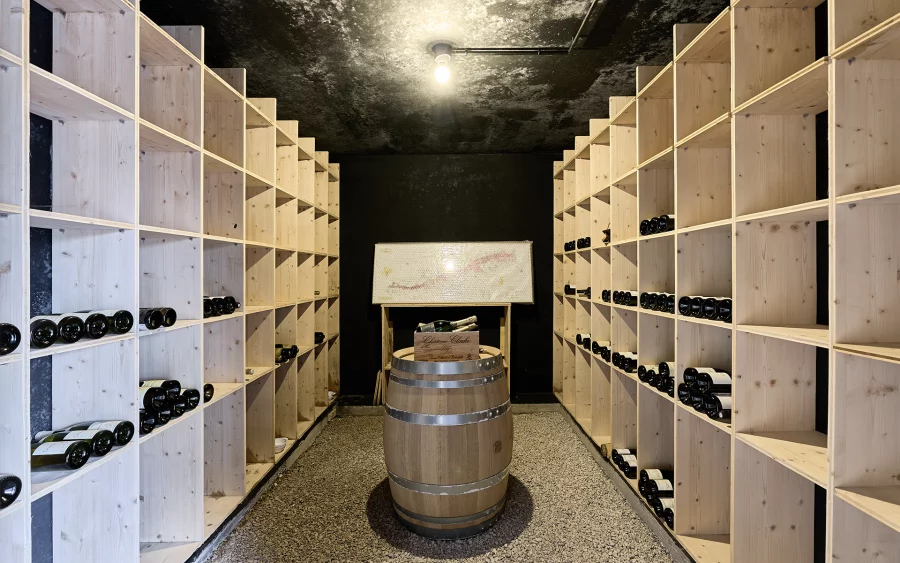 Cave à vin de la maison contemporaine avec piscine à Besançon à vendre - Arrière-Cour, agence immobilière spécialisée dans le Doubs