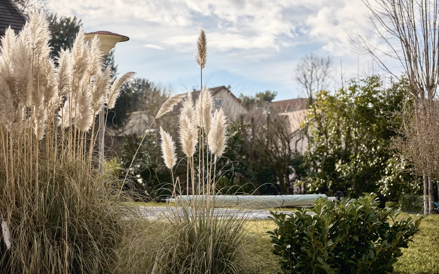 Piscine et verdure de la maison avec piscine à Besançon à vendre - Arrière-Cour, agence immobilière spécialisée dans le Doubs