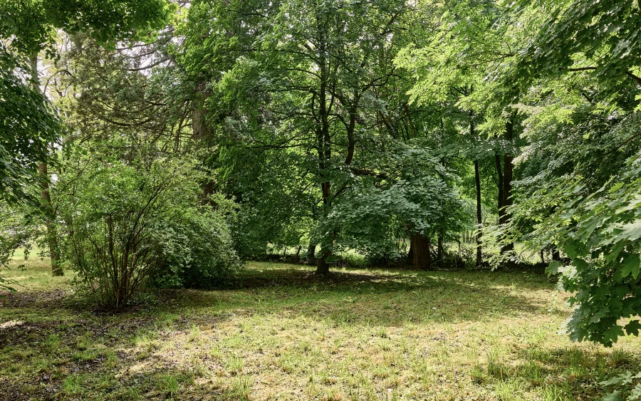 Extérieur de la maison de maître à Fougerolles à vendre - Arrière-Cour, agence immobilière spécialisée en Haute-Saône