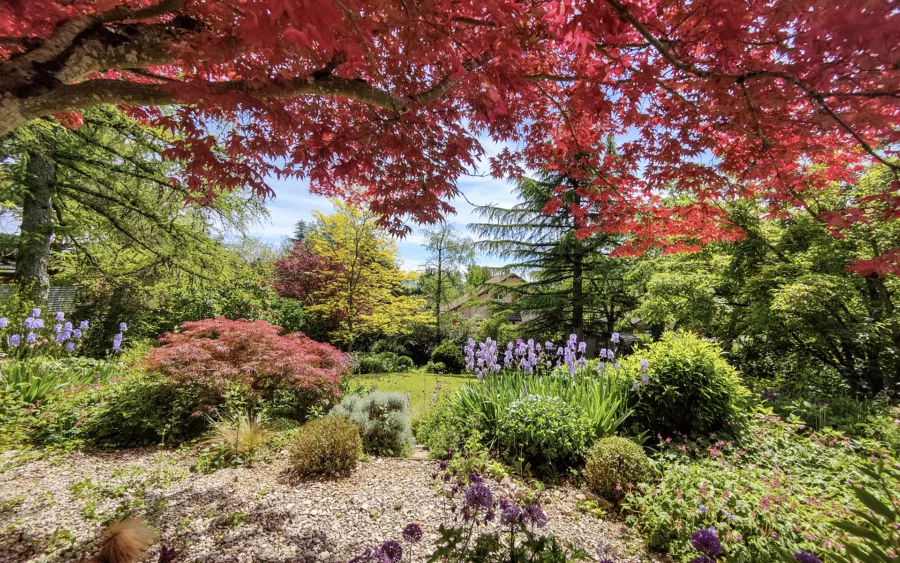 Jardin de la maison familiale avec jardin et vue à Gex à vendre - Arrière-Cour, agence immobilière spécialisée dans l'Ain