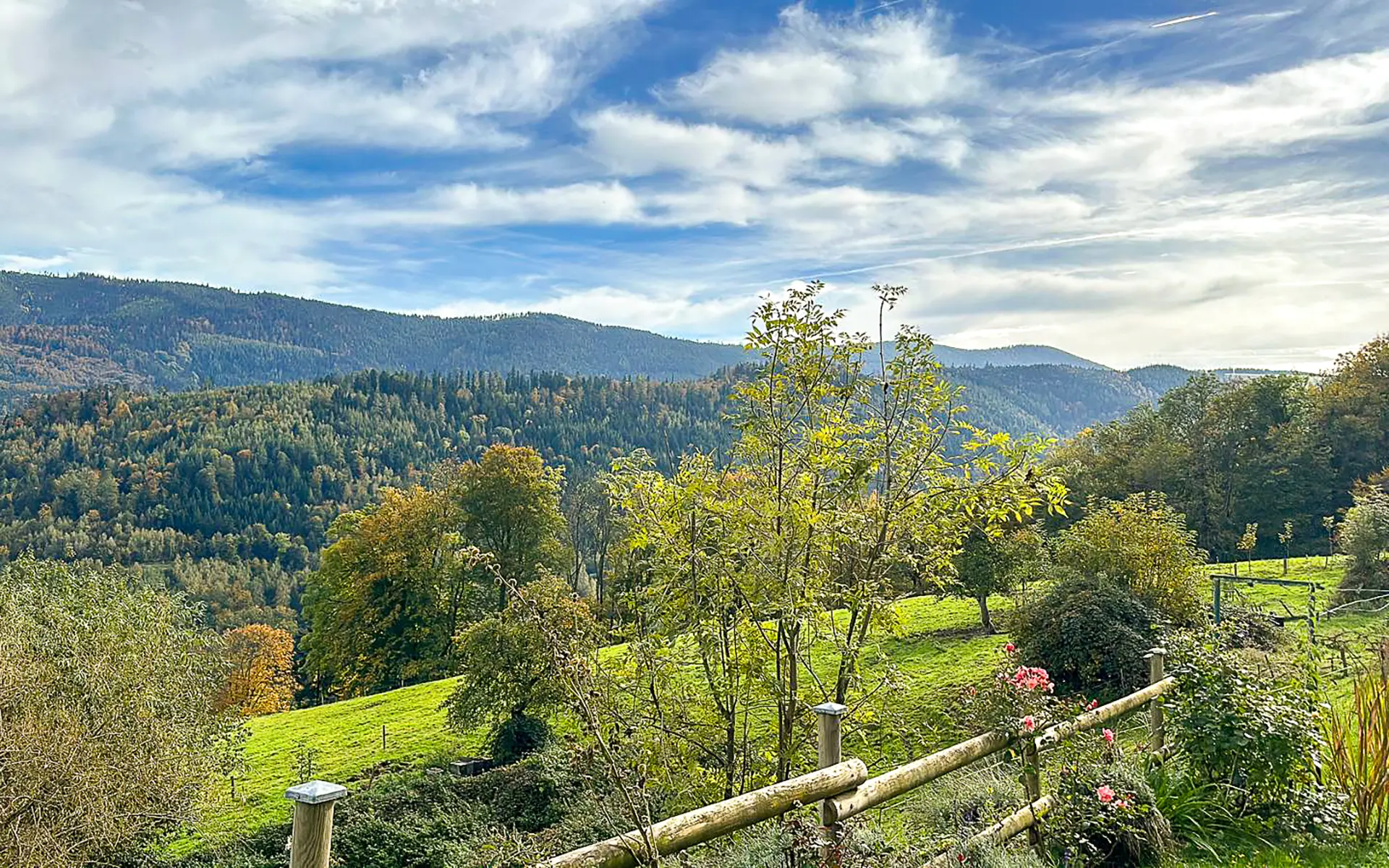 Jardin de la résidence bourgeoise rénovée au cœur du Val d’Argent à vendre - Arrière-Cour, agence immobilière spécialisée dans le Haut-Rhin