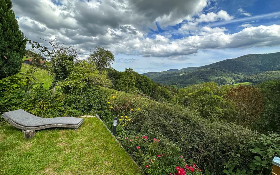 Vue sur la nature depuis la résidence bourgeoise rénovée au cœur du Val d’Argent à vendre - Arrière-Cour, agence immobilière spécialisée dans le Haut-Rhin