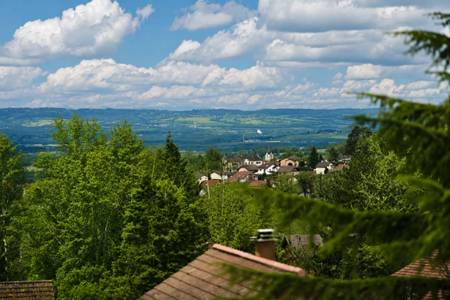Vue sur le village depuis la maison familiale avec jardin et vue à Gex à vendre - Arrière-Cour, agence immobilière spécialisée dans l'Ain