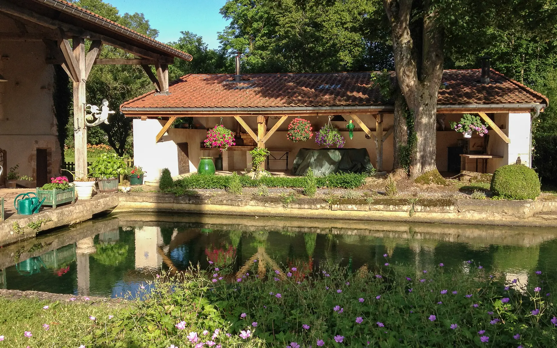 Bassin de la propriété avec moulin ancien en Haute-Marne à vendre - Arrière-Cour, agence immobilière spécialisée en Haute-Marne