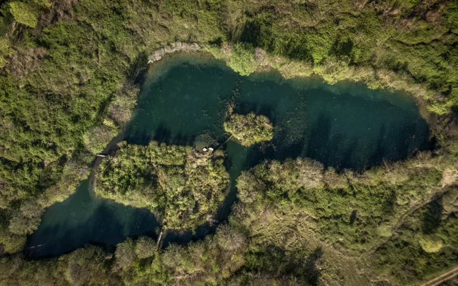Étang du domaine du XVe siècle à Domblans à vendre - Arrière-Cour, agence immobilière spécialisée dans le Jura