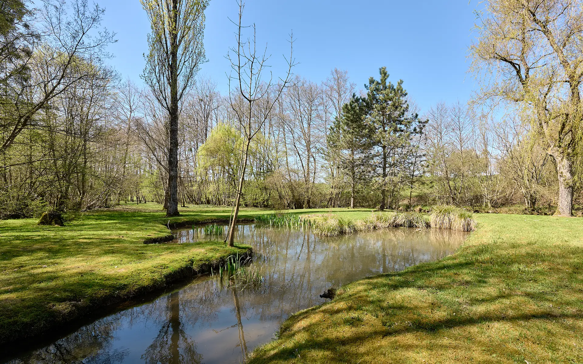 Étang du moulin XVIIIe siècle rénové, à Rioz à vendre - Arrière-Cour, agence immobilière spécialisée en Haute-Saône