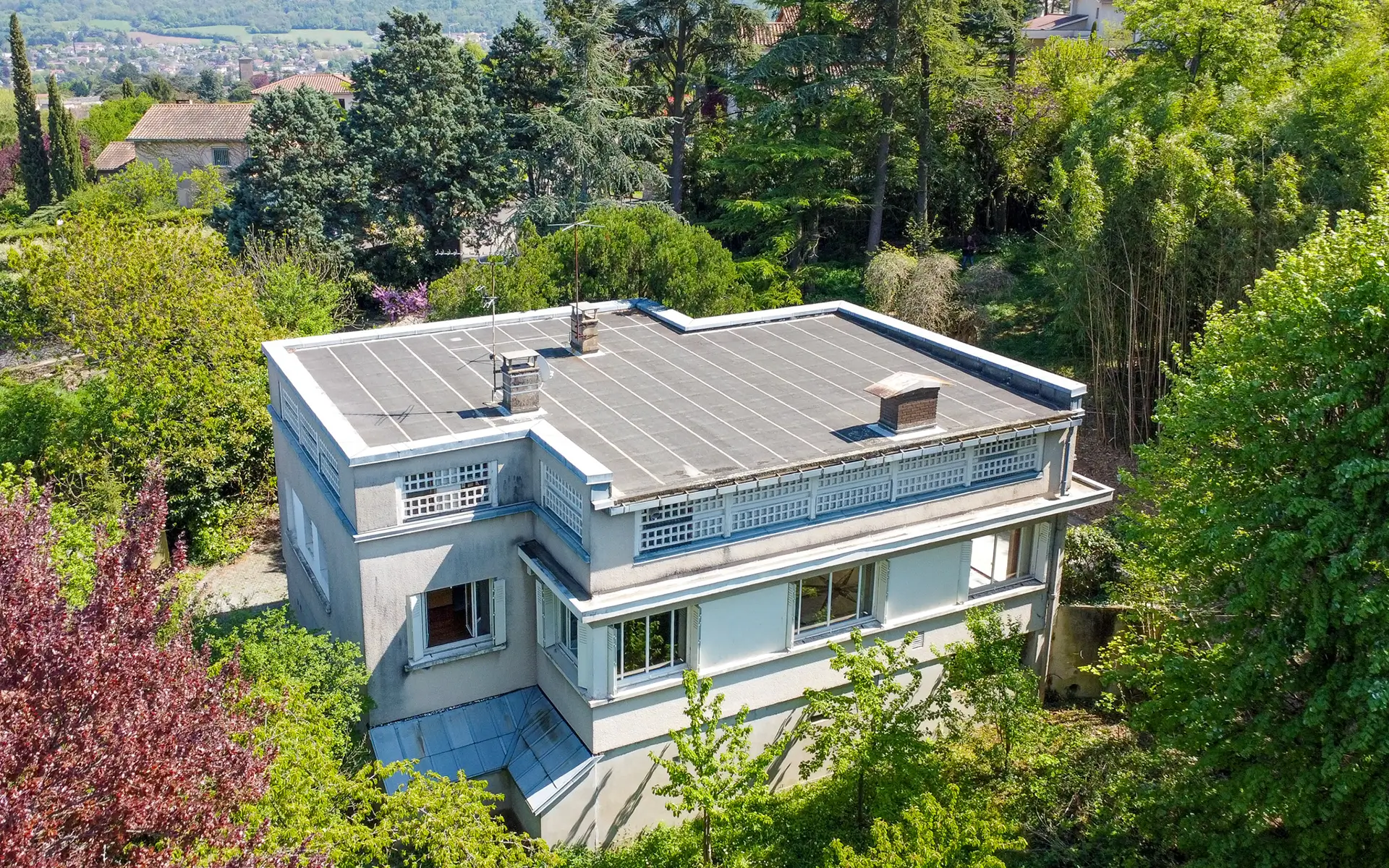 Façade lumineuse d'une maison dans un parc à Curis-au-Mont-d’Or à vendre - Arrière-Cour, agence immobilière spécialisée dans le Rhône