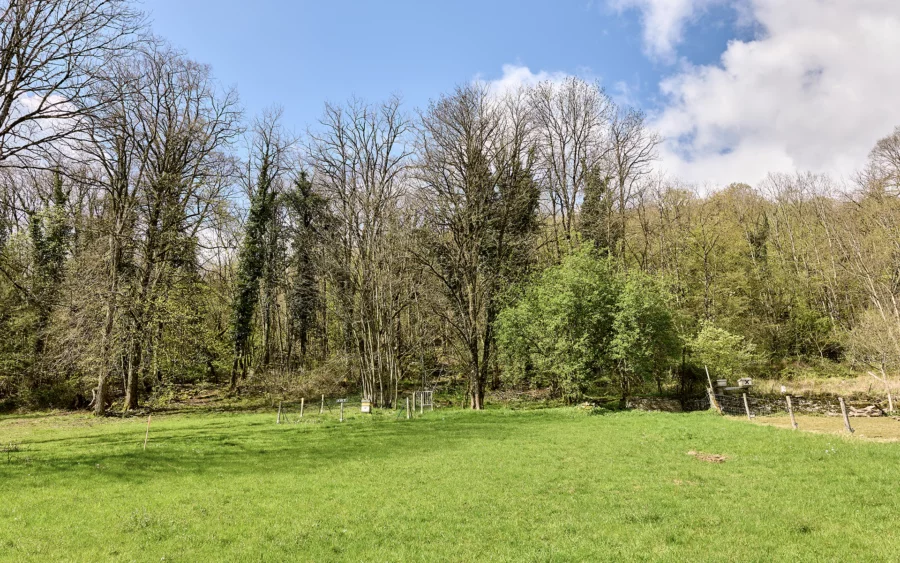Jardin de la maison contemporaine en bois à Besançon à vendre - Arrière-Cour, agence immobilière spécialisée dans le Doubs