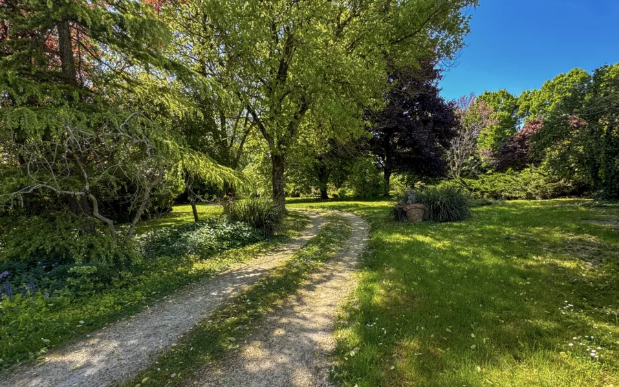 Jardin de la maison en ossature bois à Assenay à vendre - Arrière-Cour, agence immobilière spécialisée dans l'Aube