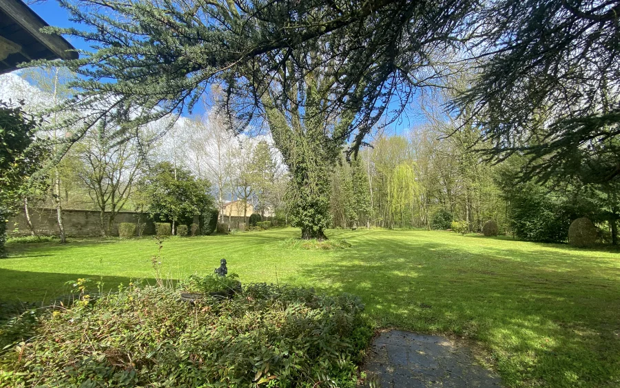 Nature de la propriété avec moulin ancien en Haute-Marne à vendre - Arrière-Cour, agence immobilière spécialisée en Haute-Marne