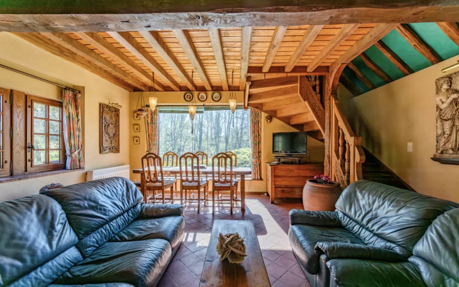 Séjour de la maison en ossature bois à Assenay à vendre - Arrière-Cour, agence immobilière spécialisée dans l'Aube