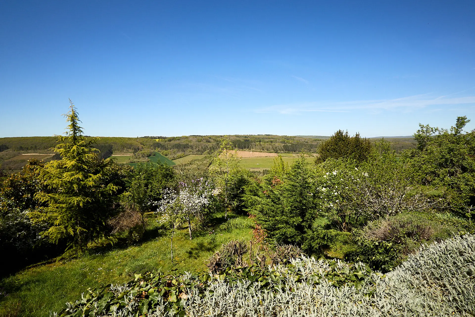Verdure de la maison Badovici Gray, à Vézelay à vendre - Arrière-Cour, agence immobilière spécialisée dans la Yonne