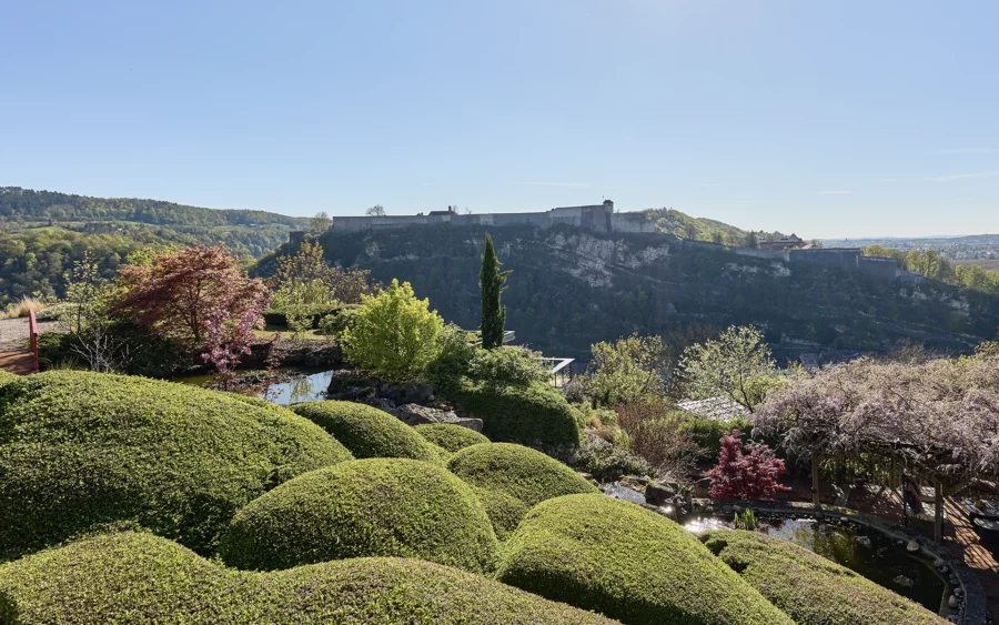 Verdure des terrasses de Besançon à vendre - Arrière-Cour, agence immobilière spécialisée dans le Doubs