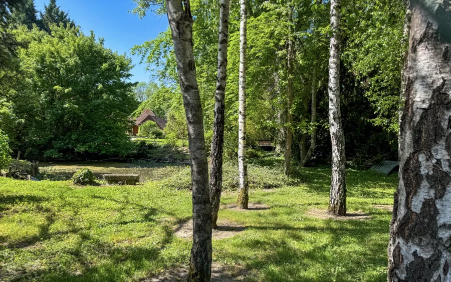 Verdure de la maison en ossature bois à Assenay à vendre - Arrière-Cour, agence immobilière spécialisée dans l'Aube