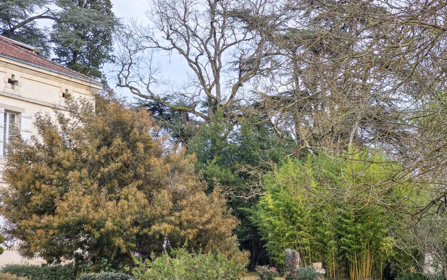 Verdure du manoir néoclassique en Occitanie à vendre - Arrière-Cour, agence immobilière spécialisée en Tarn-et-Garonne