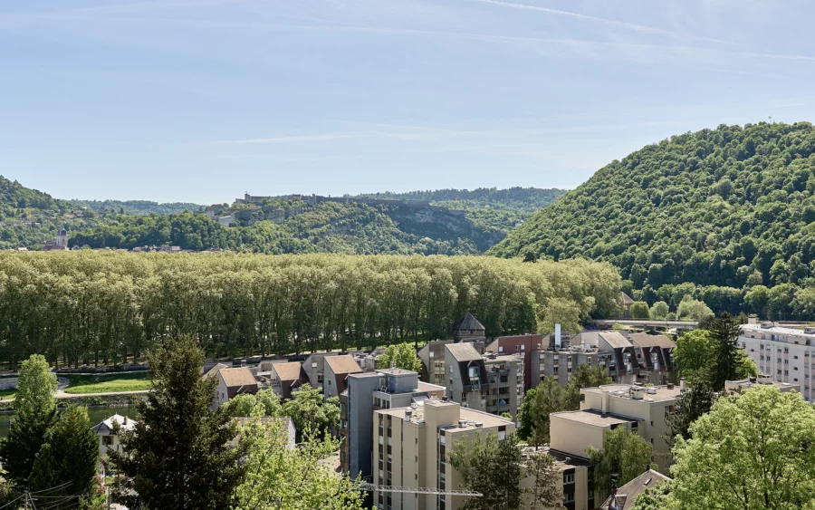 Verdure d'un rooftop avec terrasse à Besançon à vendre - Arrière-Cour, agence immobilière spécialisée dans le Doubs