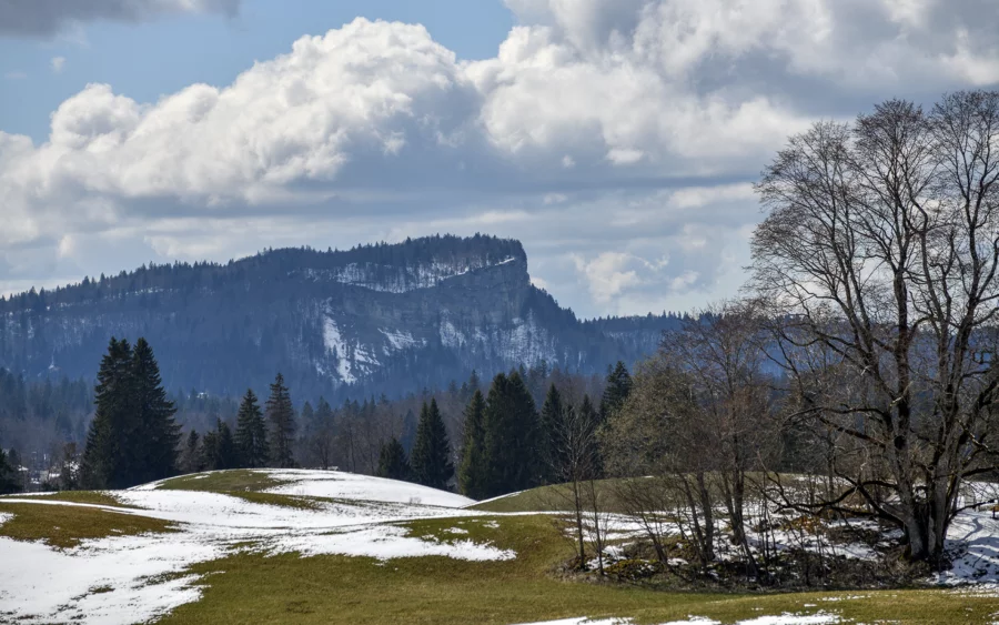 Vue sur la montagne de la ferme rénovée aux Rousses dans le Jura à vendre - Arrière-Cour, agence immobilière spécialisée dans le Jura