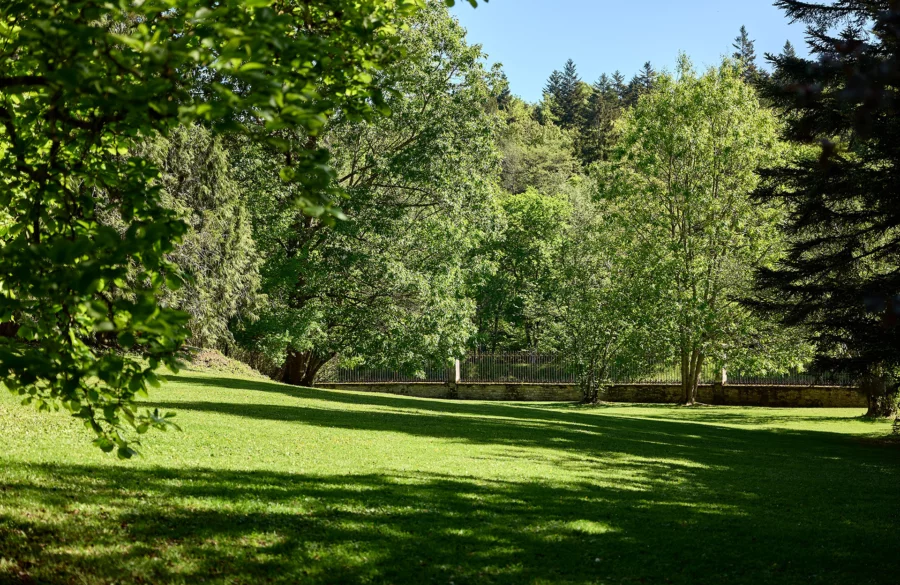 Jardin de l'entre canal et forêt : le château de Freland à vendre - Arrière-Cour, agence immobilière spécialisée en Haute-Saône
