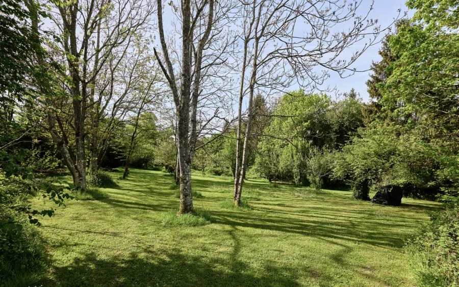 Jardin de la maison de maître à Passavant-la-Rochère à vendre - Arrière-Cour, agence immobilière spécialisée en Haute-Saône