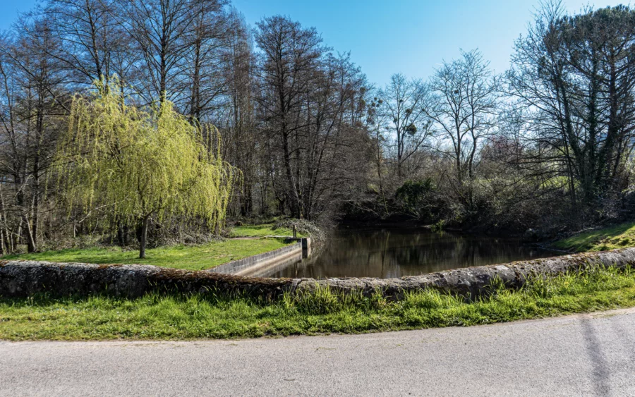 Point d'eau du moulin de Vaupranges dans le Morvan à vendre - Arrière-Cour, agence immobilière spécialisée dans le Morvan