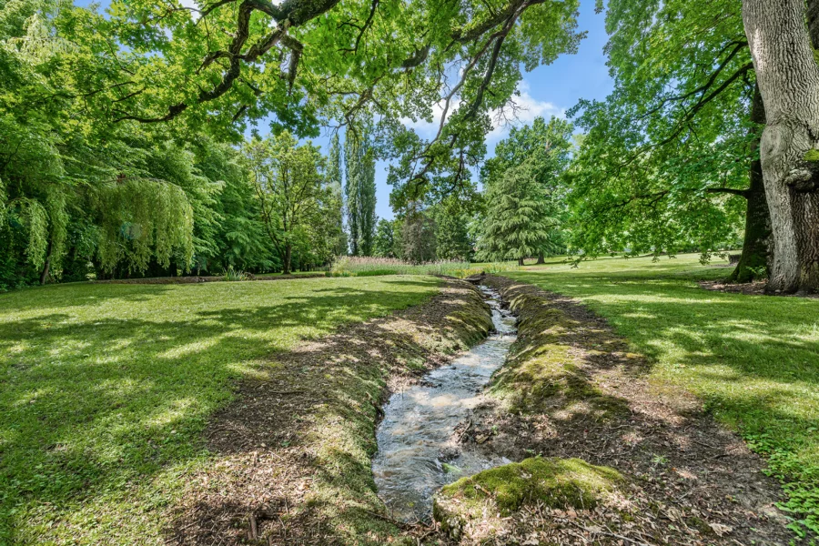 Rivière du château et parc remarquable aux portes de Bourg-en-Bresse à vendre - Arrière-Cour, agence immobilière spécialisée dans l'Ain