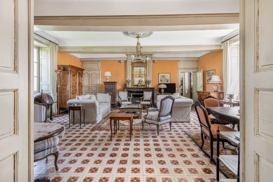 Salon d'un château confidentiel à Bourg-en-Bresse à vendre - Arrière-Cour, agence immobilière spécialisée dans l'Ain