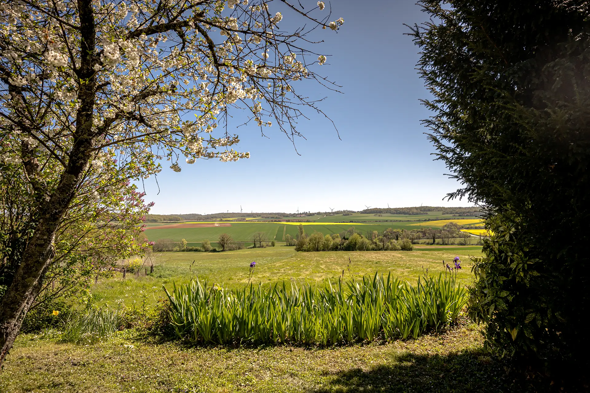 Verdure de l'ancien presbytère à Marolles-les-Bailly à vendre - Arrière-Cour, agence immobilière spécialisée dans l'Aube