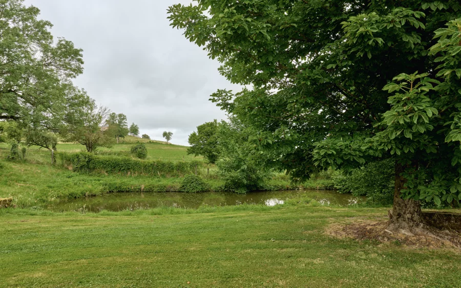 Point d'eau de l'ancien couvent historique aux Thons, entre Vittel et Langres à vendre - Arrière-Cour, agence immobilière spécialisée dans les Vosges
