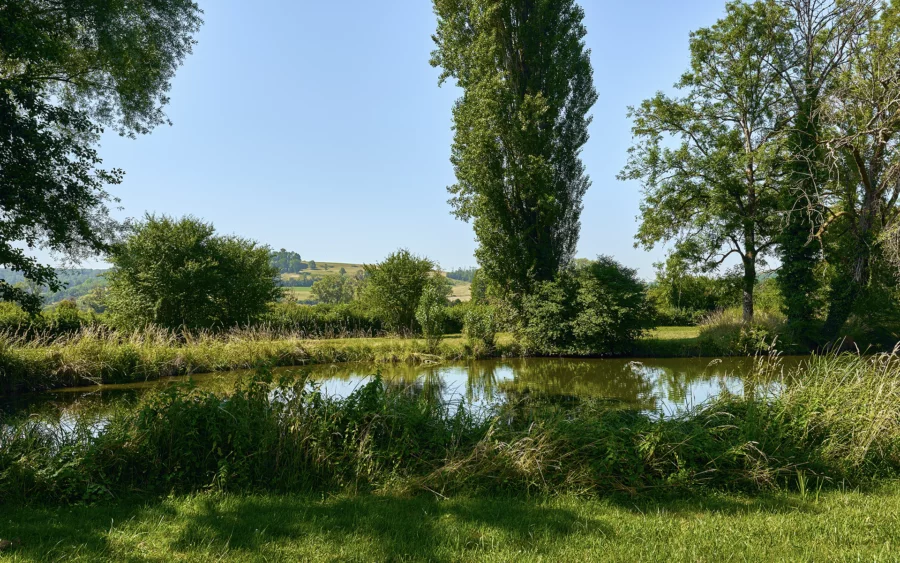 Rivière et verdure d'une maison de maître en Haute-Marne à vendre - Arrière-Cour, agence immobilière spécialisée en Haute-Marne