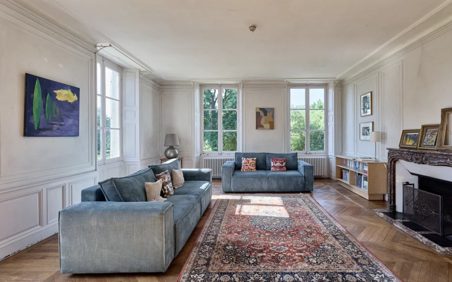 Salon d'une maison de maître en Haute-Marne à vendre - Arrière-Cour, agence immobilière spécialisée en Haute-Marne