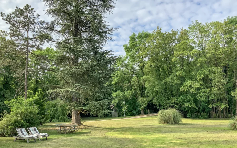 Jardin du château de Pymont, entre héritage et hospitalité à vendre - Arrière-Cour, agence immobilière spécialisée en Bourgogne