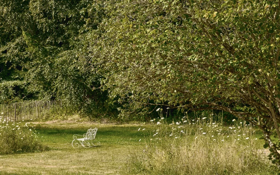 Jardin de la propriété de campagne en Haute-Saône à vendre - Arrière-Cour, agence immobilière spécialisée en Haute-Saône